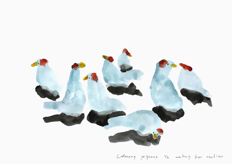 Songpaintings II - Colouring pigeons waiting for candies